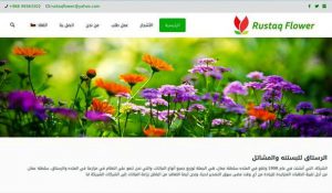 Creators Network, la mejor empresa de diseño web en Arabia Saudita, diseño web de Jeddah