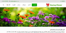 شبكة المبدعين تصميم مواقع الكترونية